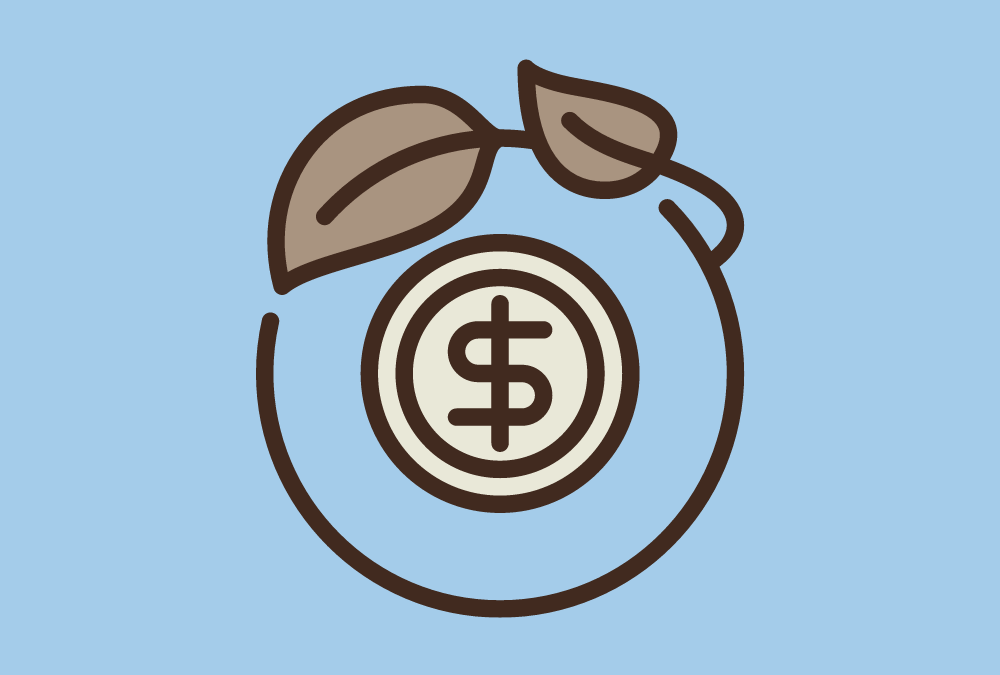 Introduktion til finansieringsmuligheder
