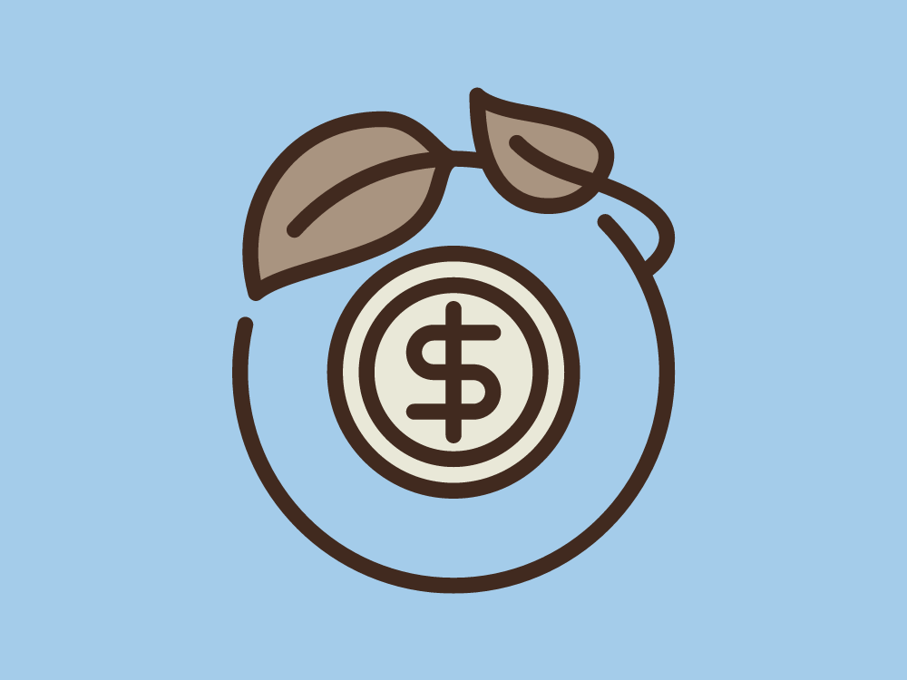 Introduktion til finansieringsmuligheder